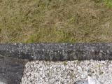 image of grave number 659083